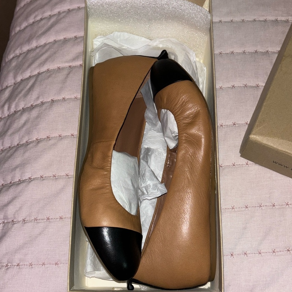 Ellen Degeneres flats